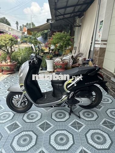 Honda Scoopy 2024 Xám