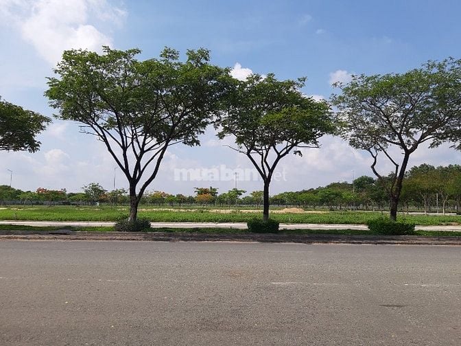 CHÍNH CHỦ BÁN 1 VÀI LÔ ĐẤT NỀN PHÚ THỊNH 1 & 2 DỰ ÁN SWAN PARK VỊ TRÍ 