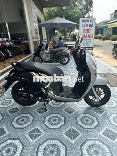 Honda Scoopy 2024 Xám