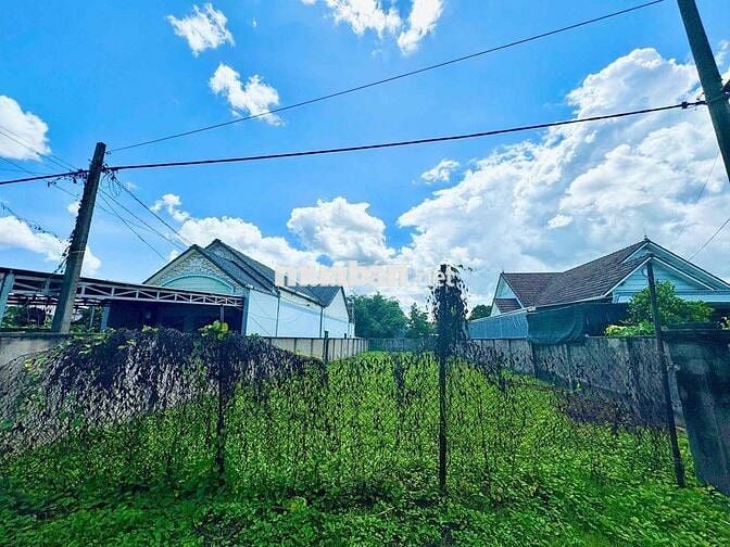 Bán lô đất 535m2 (12x45) giá 950tr ngân hàng hỗ trợ, thiện chí bớt lộc