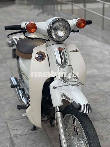 Honda cup 50cc
