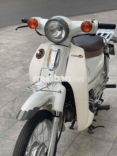 Honda cup 50cc