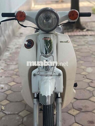 Honda cup 50cc