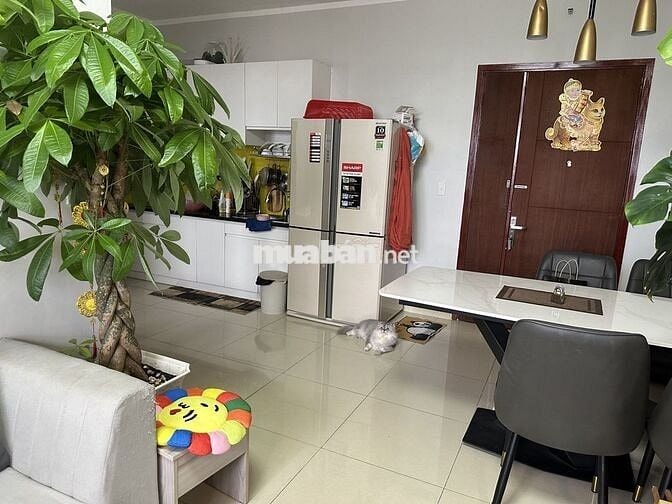 TOPAZ HOME 60M2 2PN 2WC 6,5TR NHÀ TRỒNG, 8TR FULL NỘI THẤT
