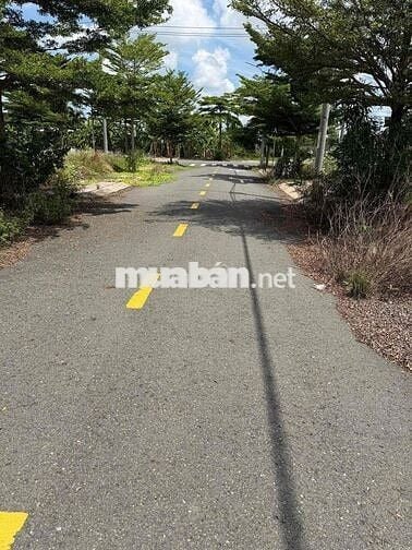 bán gấp lô đất ngay chợ bình chánh 1 tỷ 750