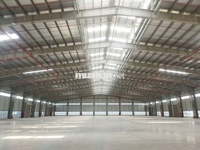 Cho thuê kho xưởng huyện đức hòa , Tỉnh Long An ( Tây Ninh Mới ) 