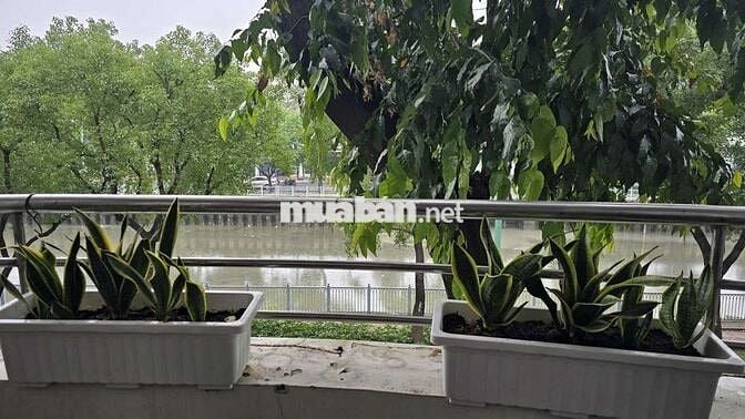 CHÍNH CHỦ cho thuê 1 ngủ bếp riêng, khép kín 40m2 mặt tiền Trường Sa
