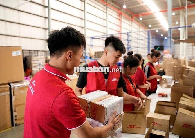 J&T EXPRESS ĐÀ NẴNG TUYỂN DỤNG THÁNG 8