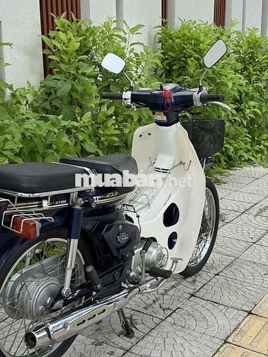 Super Cub 50cc 2019 Xanh trắng