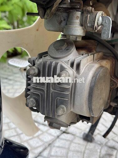 Super Cub 50cc 2019 Xanh trắng