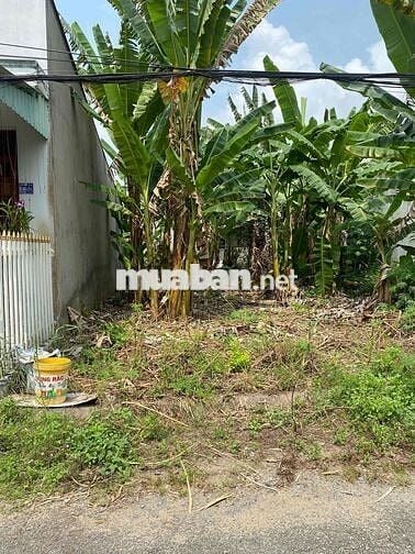Bán đất nền kdc Tân Phú Đông Tp Sa Đéc cũ