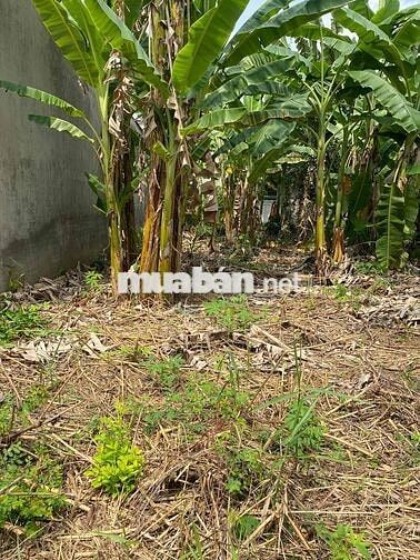 Bán đất nền kdc Tân Phú Đông Tp Sa Đéc cũ