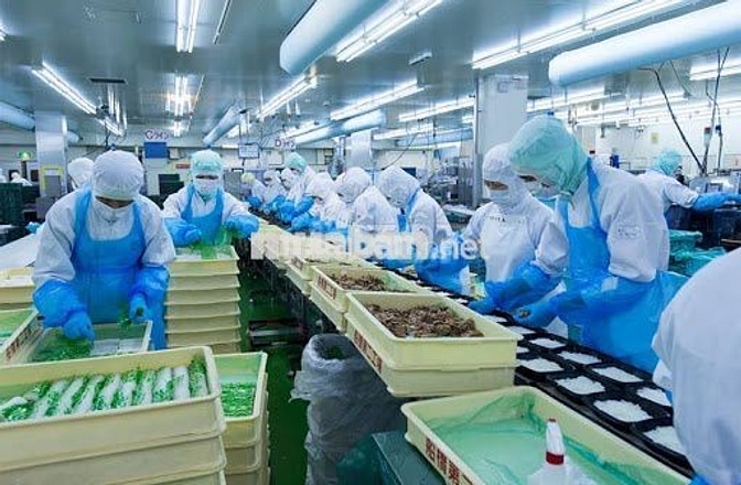 CHẾ BIẾN THỰC PHẨM 253 + BAO CƠM NHÀ MÁY VISSAN