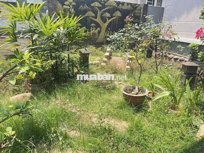 Cho thuê nhà mái thái sân vườn, Tổ 42, Khu Phố 9, Tân Phong, Biên H