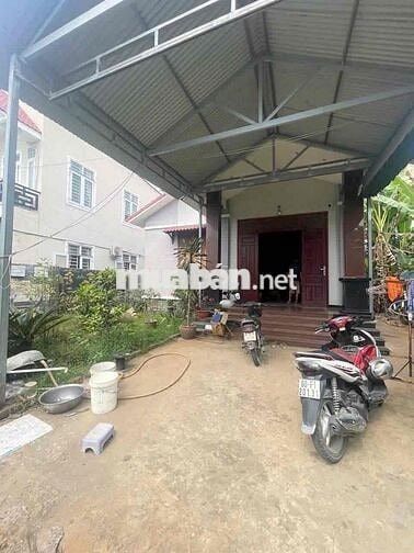 Cho thuê nhà mái thái sân vườn, Tổ 42, Khu Phố 9, Tân Phong, Biên H