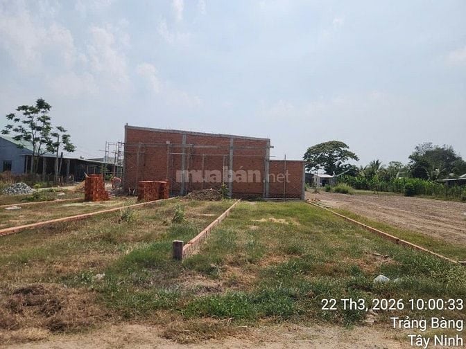 Đất thật giá thật 100% không ảo(dt6x50)giá 790tr .Đường Đặng Văn Trước