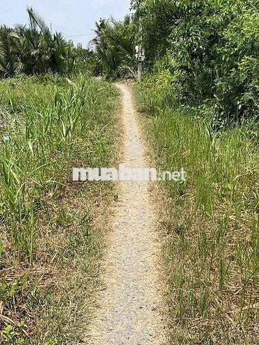 CHÍNH CHỦ CẦN BÁN GẤP LÔ ĐẤT 300m² – ĐƯỜNG TÁM PHÀM, XÃ PHƯỚC LỘC, HUY