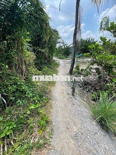 CHÍNH CHỦ CẦN BÁN GẤP LÔ ĐẤT 300m² – ĐƯỜNG TÁM PHÀM, XÃ PHƯỚC LỘC, HUY