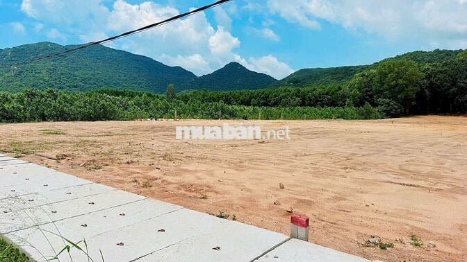 BÁN NHANH 606M2 NGANG 9M CHÂN NÚI MINH ĐẠM GIÁ CHỈ 1TY250