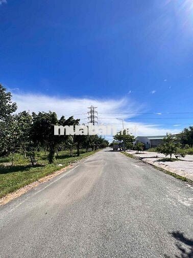BÁN GẤP NỀN 5x16M KDC TÂN ĐÔ ĐƯỜNG 20M, VỈA HÈ 8M GIÁ THƯƠNG LƯỢNG