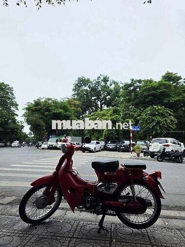 Little Cub 50cc 2022 màu đỏ