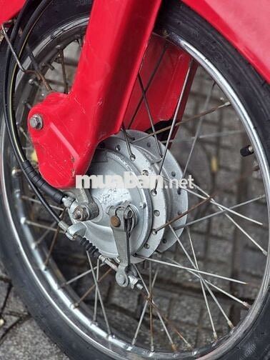 Little Cub 50cc 2022 màu đỏ