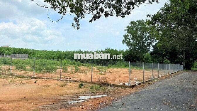 BÁN NHANH 606M2 NGANG 9M CHÂN NÚI MINH ĐẠM GIÁ CHỈ 1TY250