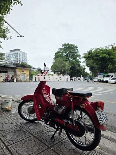 Little Cub 50cc 2022 màu đỏ