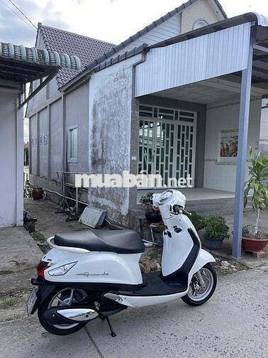 Yamaha Grande Fi Trắng