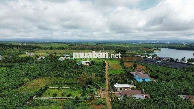 TÔI CÓ1000m2 ĐẤT CÓ 400M2 THỔ CƯ GẦN HỒ CÁNH BƯỚM và OLALA GLAMPING 