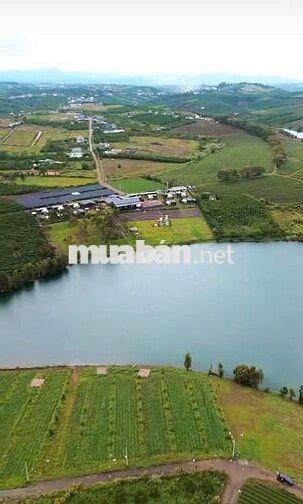 TÔI CÓ1000m2 ĐẤT CÓ 400M2 THỔ CƯ GẦN HỒ CÁNH BƯỚM và OLALA GLAMPING 
