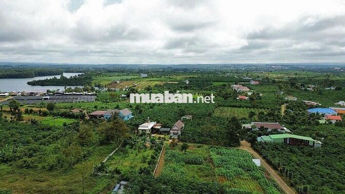 TÔI CÓ1000m2 ĐẤT CÓ 400M2 THỔ CƯ GẦN HỒ CÁNH BƯỚM và OLALA GLAMPING 