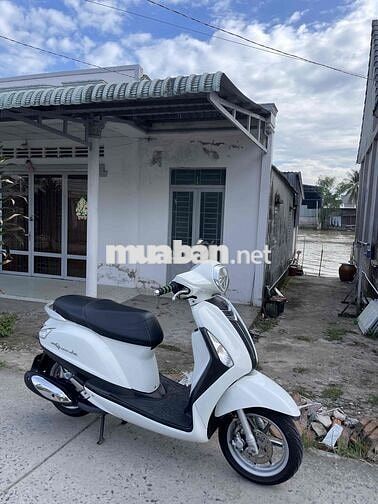Yamaha Grande Fi Trắng