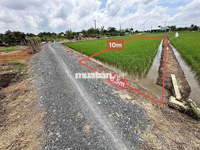 🌈 Đất thổ 320tr SHR Nhựt Chánh, Bến Lức. Xe Hơi ngay đất
