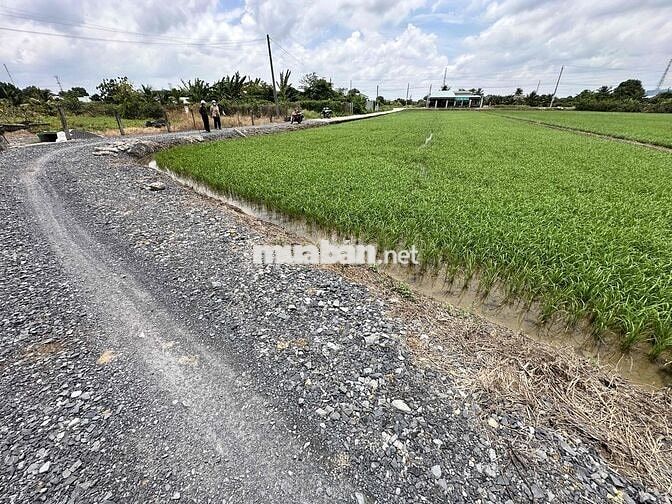 🌈 Đất thổ 320tr SHR Nhựt Chánh, Bến Lức. Xe Hơi ngay đất