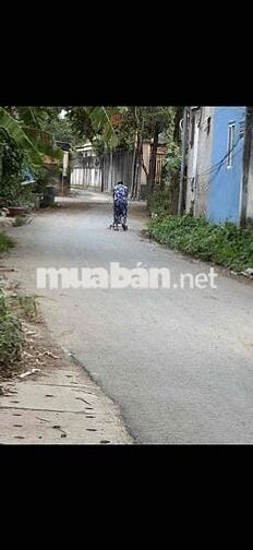 nhà cấp 4 diện tích lớn đường xe hơi đường trước nhà 7 m