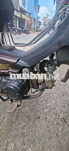 Honda Dream Nâu Cổ điển