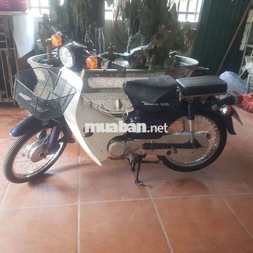 Honda Super Cub 50 Xanh Trắng