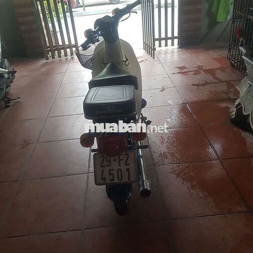 Honda Super Cub 50 Xanh Trắng