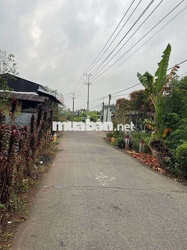 Bán hơn 415m² đất đã lên toàn bộ Thổ Cư (full Thồ Cư), lộ ôtô cặp sông