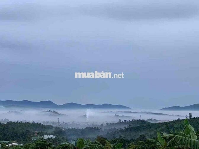 Bán lỗ đất có thổ cư, view săn mây sẵn sầu riêng