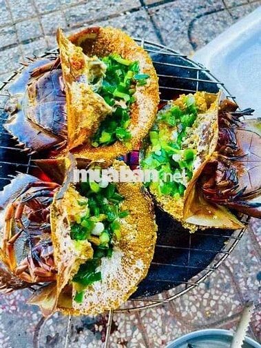 Cần 1 bạn nam phụ quán,không cần kinh nghiệm.