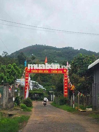 Bán lỗ đất có thổ cư, view săn mây sẵn sầu riêng