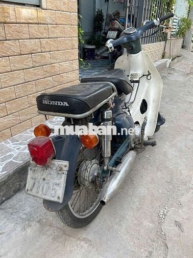 Honda Cub 81 _50cc