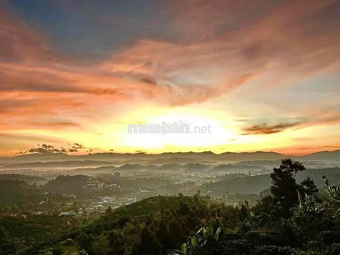 Bán lỗ đất có thổ cư, view săn mây sẵn sầu riêng