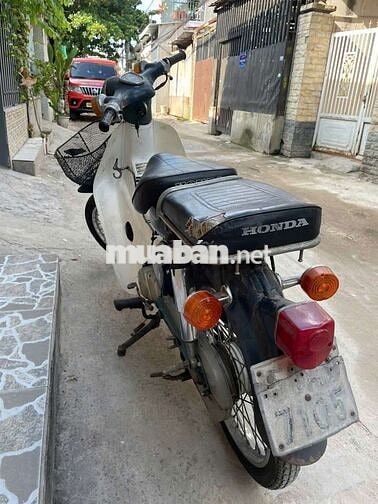 Honda Cub 81 _50cc