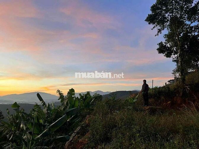 Bán lỗ đất có thổ cư, view săn mây sẵn sầu riêng