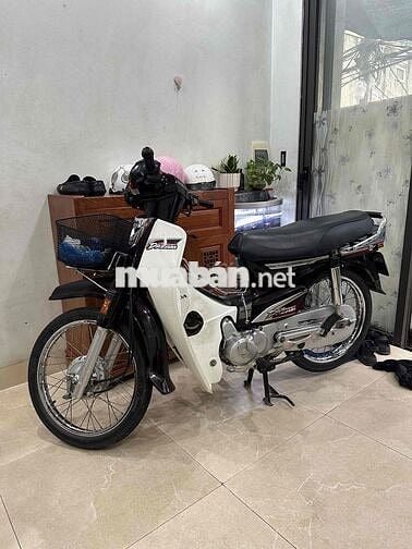 Honda Dream 2024 Trắng đen