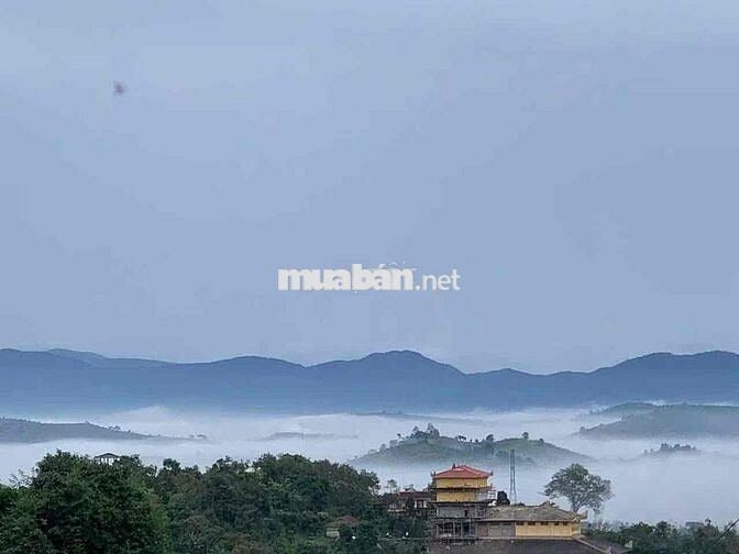Bán lỗ đất có thổ cư, view săn mây sẵn sầu riêng