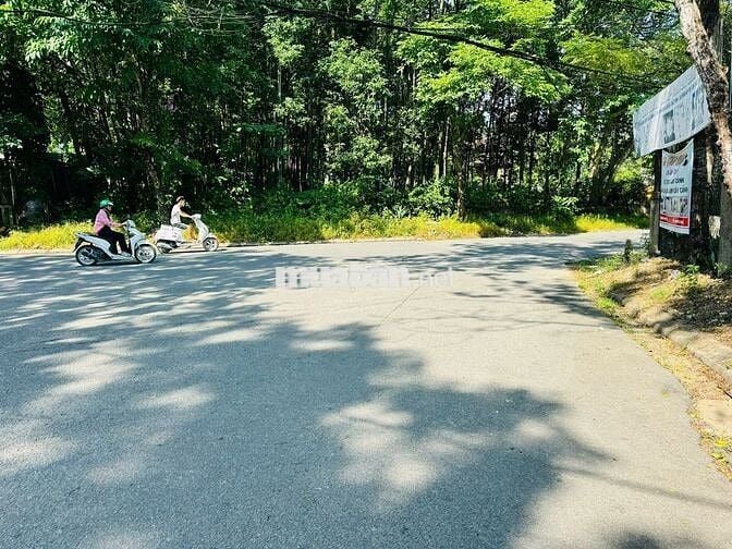 Đất Kiệt Ô TÔ 112 Đặng Huy Trứ ngay chung cư Trường An Gía chỉ 1,68 tỷ